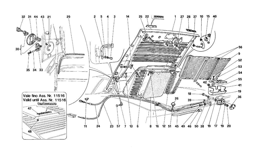 REAR HOOD