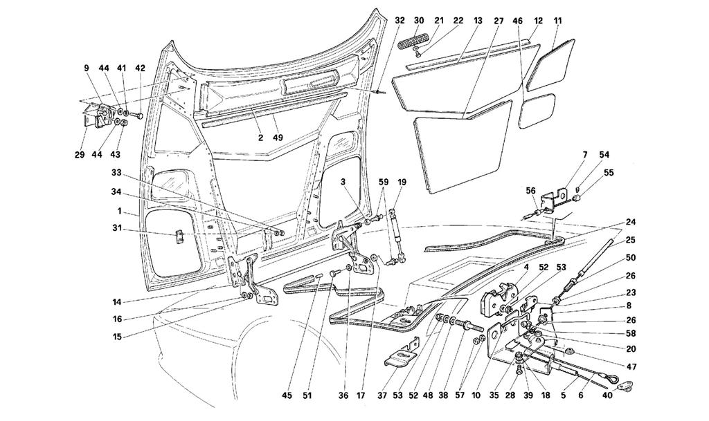 FRONT HOOD