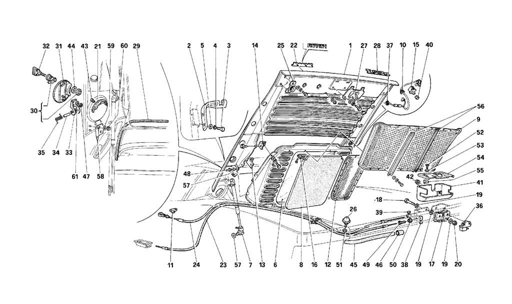 REAR HOOD
