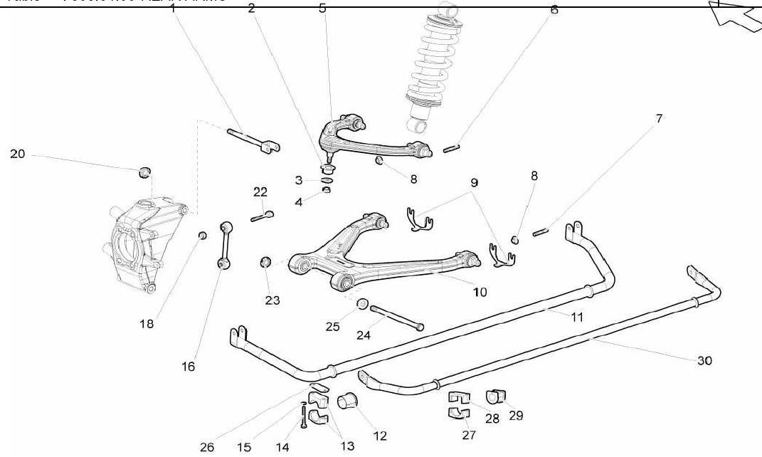 REAR ARMS
