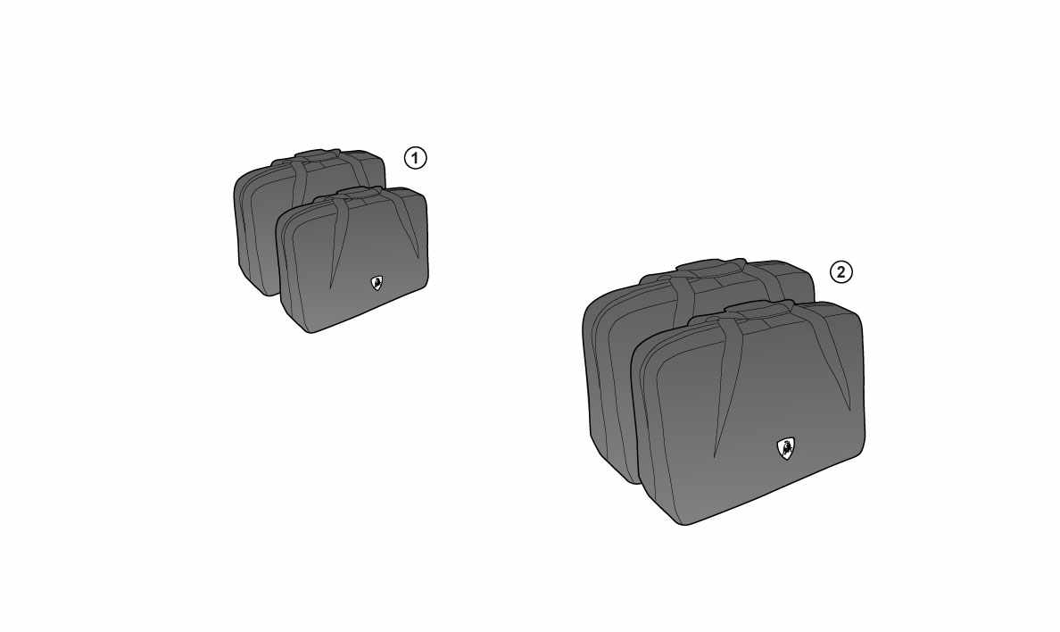 LEATHER CASES