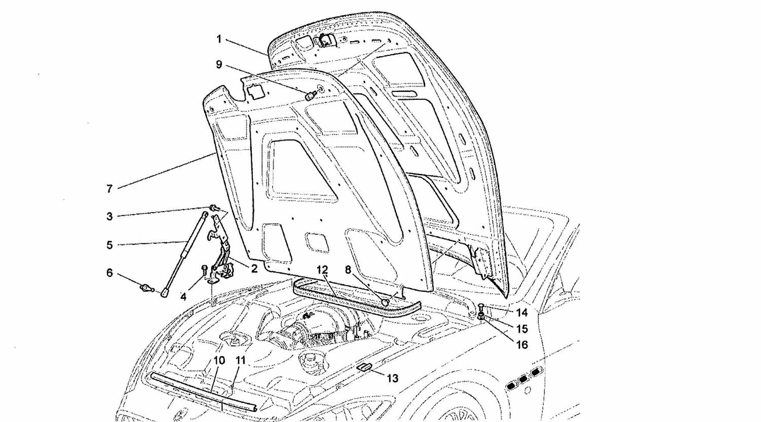 FRONT HOOD TRIM
