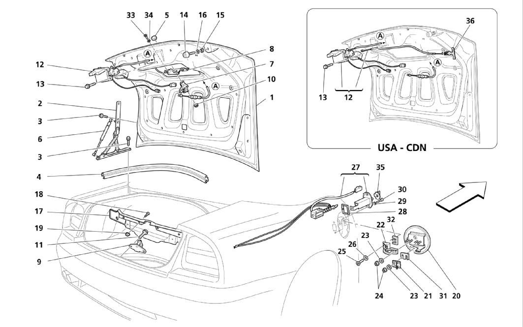 TRUNK HOOD BONNET AND GAS DOOR
