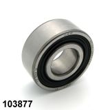 103877