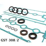 308 2-VALVE (INJECTED) GASKET SET