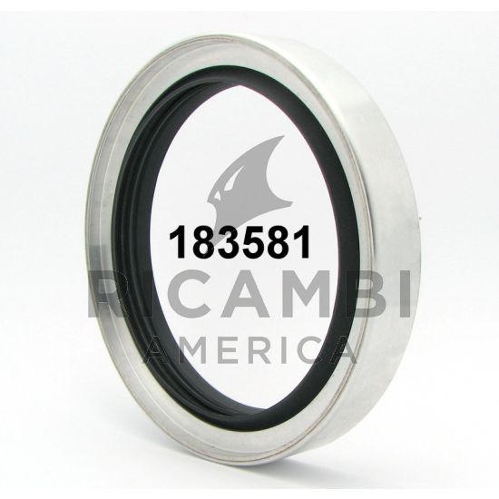 183581 REAR MAIN SEAL - Ricambi America, Inc.