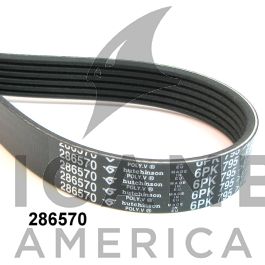 lady　0617 ALTERNATOR DRIVING BELT - Ricambi America, Inc.