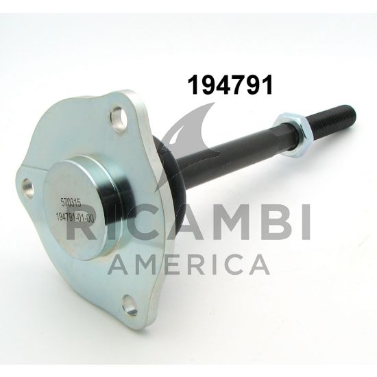 194791-01 TIE ROD (WITHOUT BALL) - Ricambi America, Inc.